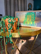Kit DIY : Plante en perles