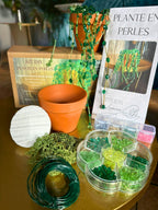 Kit DIY : Plante en perles